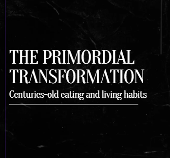 THE PRIMORDIAL  TRANSFORMATION